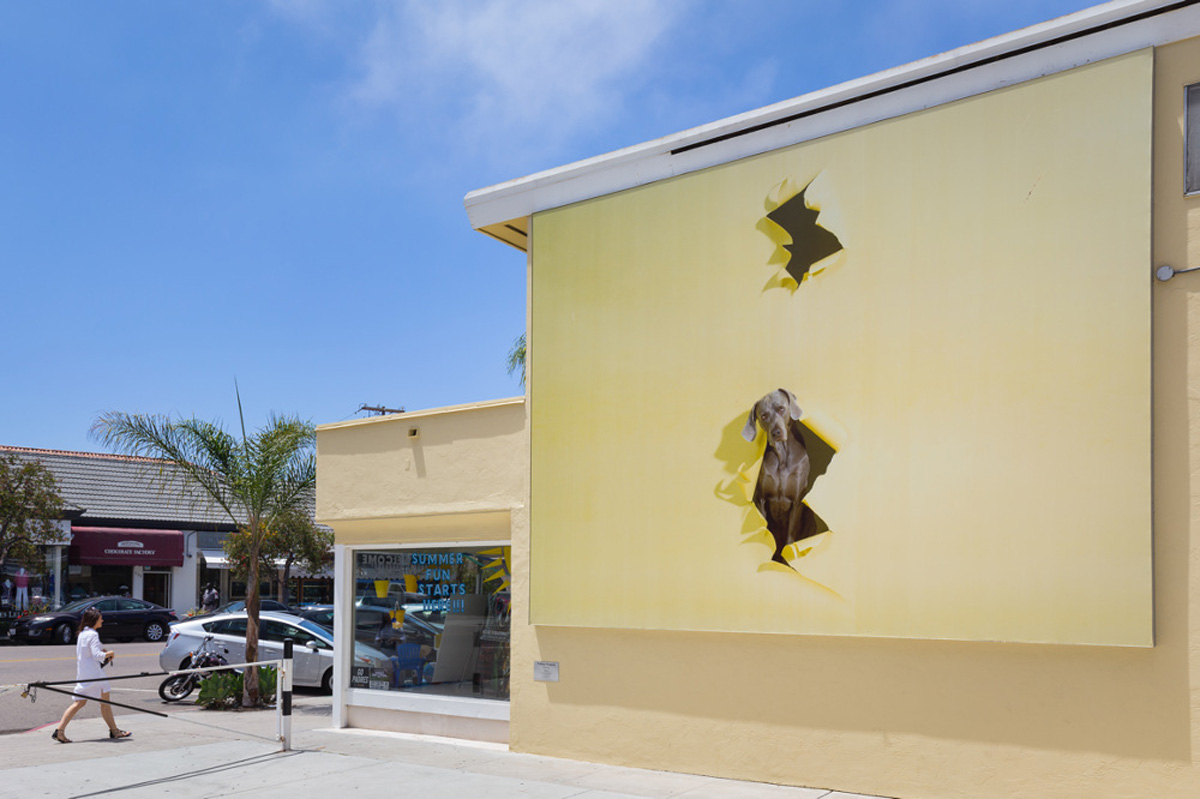 la jolla murals