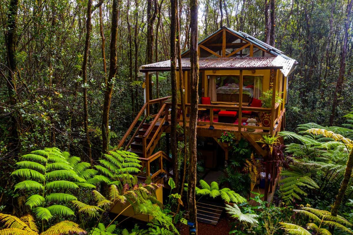 treehouse off the grid in hawaii