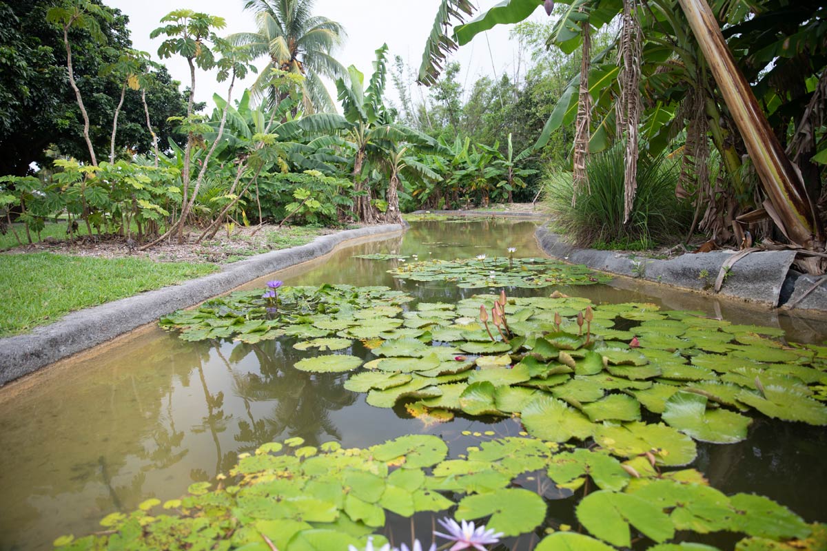 fruit and spice park miami Photo courtesy of the GMCVB