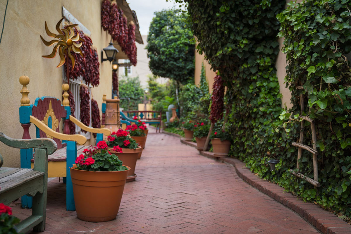cobbled street in old town albuquerque