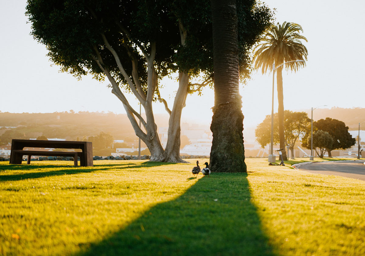 empty park in san diego, non-peak time of day